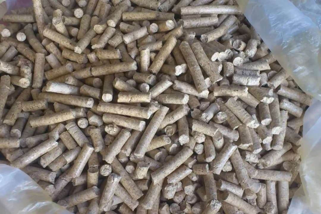 Z czego można zrobić pellet? Odkryj niespodziewane surowce!