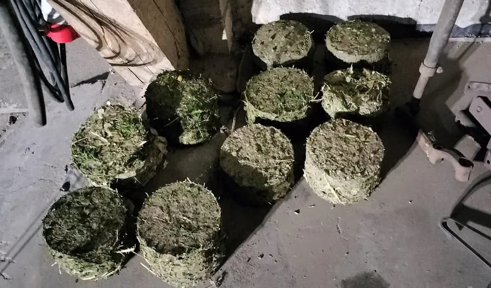 Jak zrobić brykiet z trawy - krok po kroku do ekologicznego paliwa