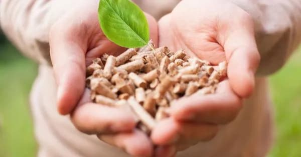 Czy pelletem można palić w kominku? Sprawdź bezpieczeństwo i wymagania