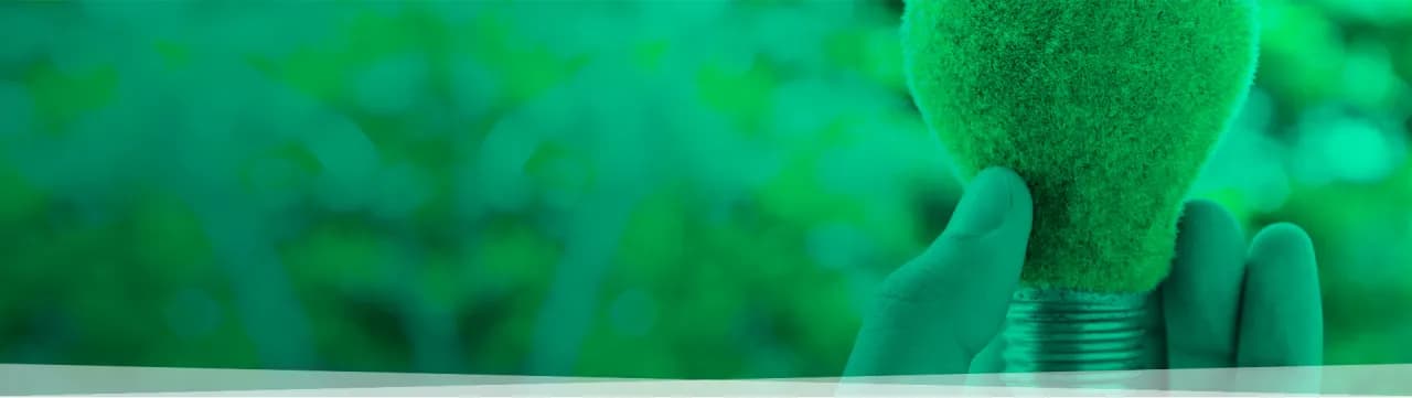 Brykiet czy węgiel do pieca - co wybrać dla oszczędności i ekologii?